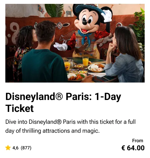 Disneyland Paris Dated Tickets Mickeys Company